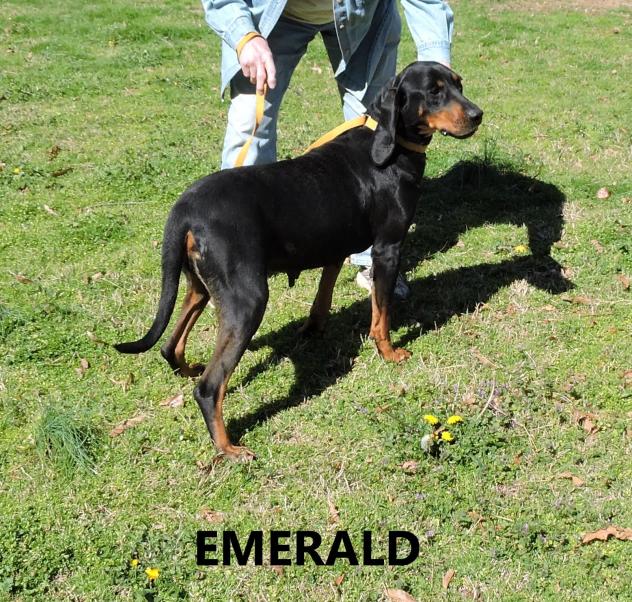 Emerald