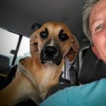 Adoptable (Official) Georgia Dogs for November 2, 2021
