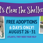 Adoptable (Official) Georgia Dogs for August 26, 2022
