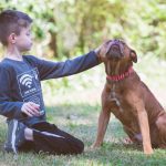 Adoptable (Official) Georgia Dogs for October 24, 2022